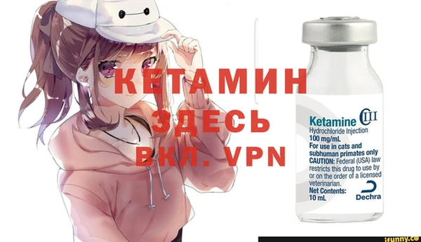 крисы Новозыбков