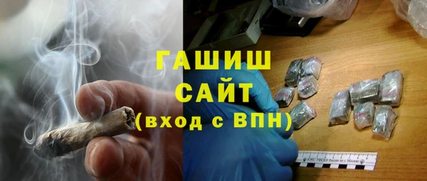 крисы Новозыбков