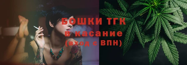 крисы Новозыбков