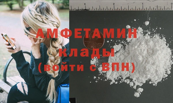 крисы Новозыбков
