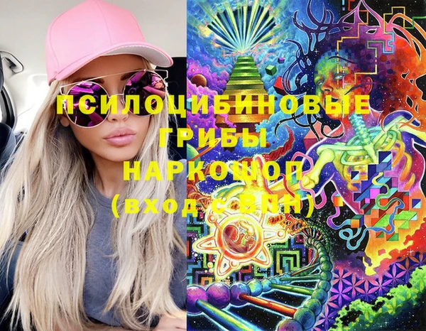 Альфа ПВП Белая Холуница