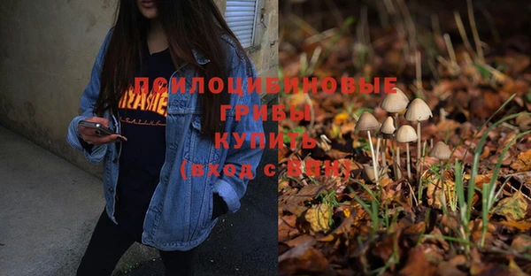 крисы Новозыбков
