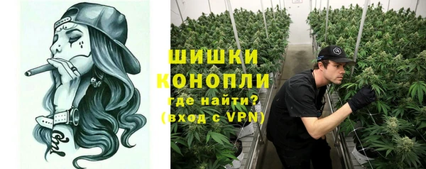крисы Новозыбков
