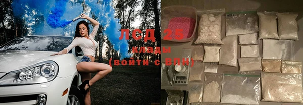 крисы Новозыбков