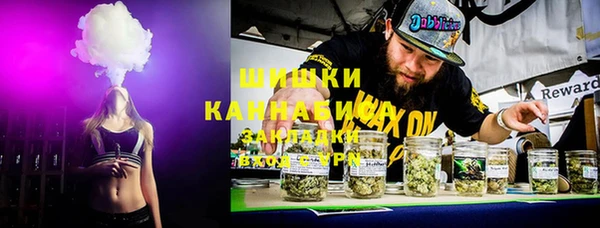 крисы Новозыбков